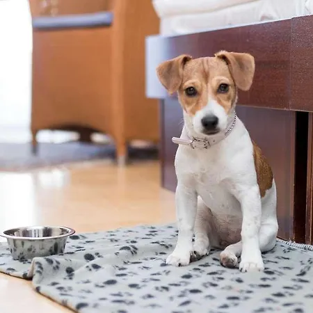 Vju Ruegen فندق غورين