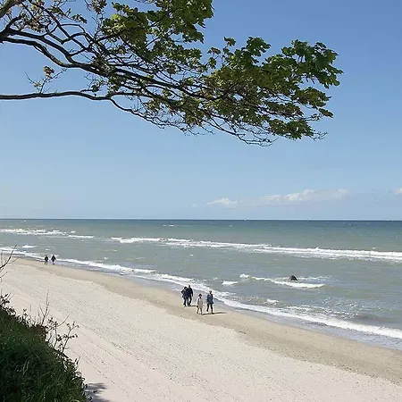 فندق Vju Ruegen 4*